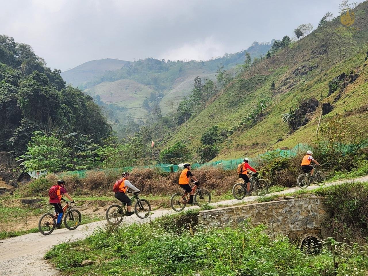 The City of Eternal Spring on Two Wheels: Your Comprehensive Guide to Dalat Bike Tours